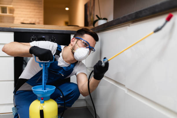 Best Emergency Pest Control  in Bangs, TX