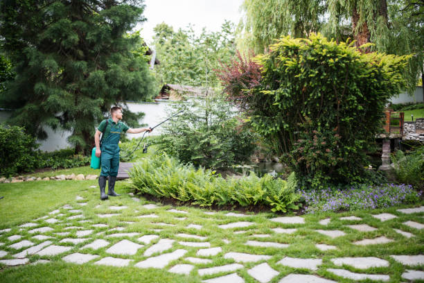 Best Best Pest Control Companies  in Bangs, TX