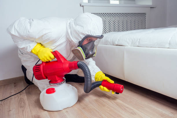 Best Commercial Pest Control Services  in Bangs, TX