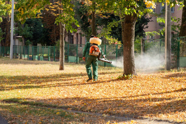 Best Insect Control  in Bangs, TX